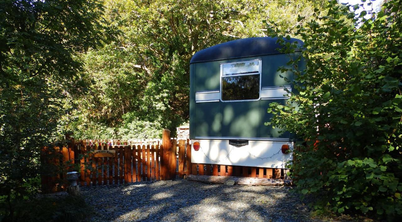 Showman'S Wagon At Coed Cae Dolgellau Exterior foto